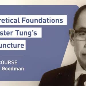 Theoretical Foundations of Master Tung’s Acupuncture