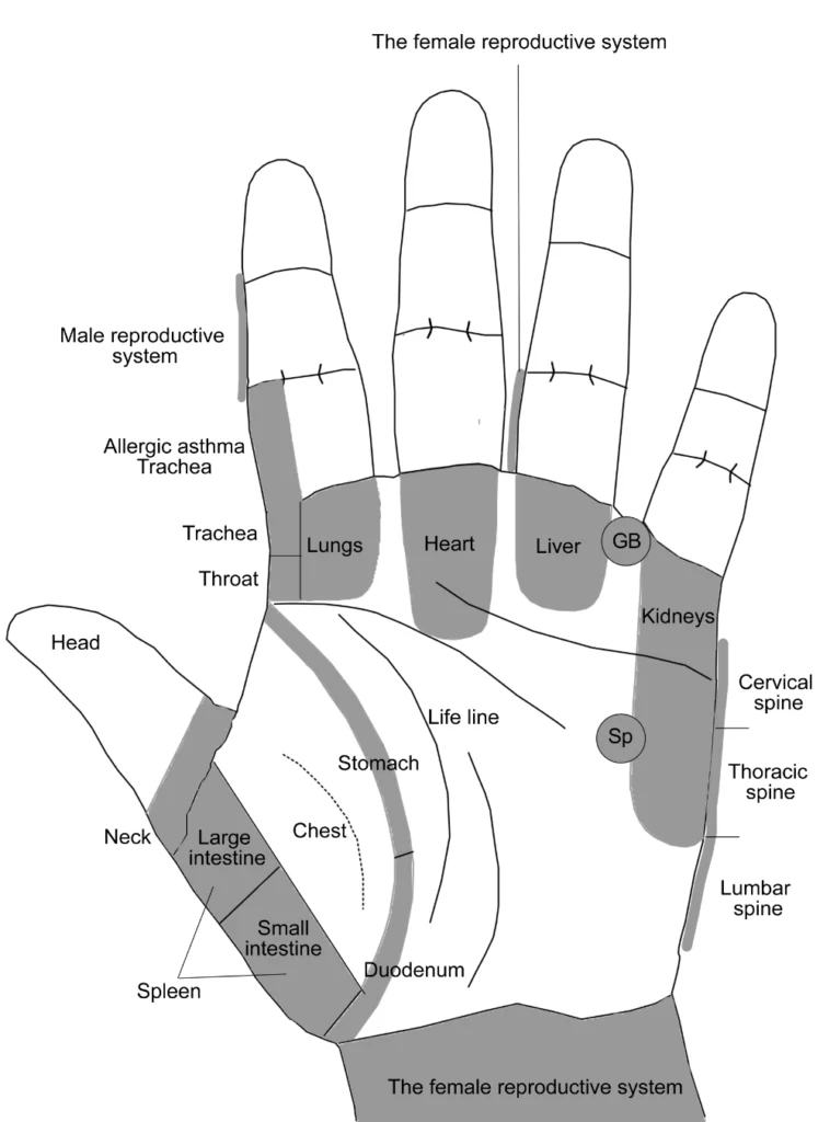 Palm Diagnosis in Master Tung's Acupuncture