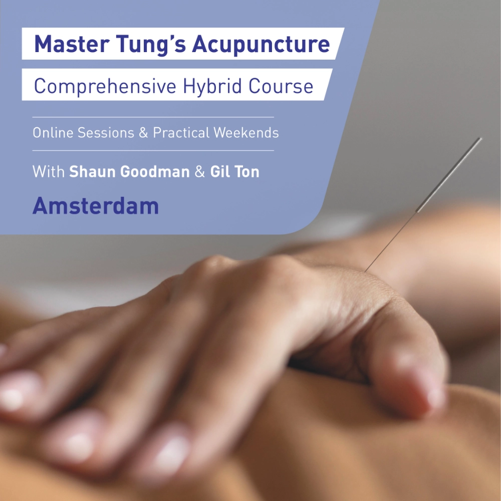 Master Tung Acupuncture Course Amsterdam