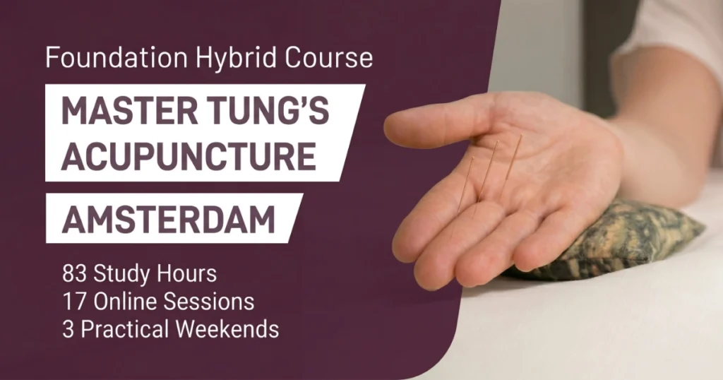 Master Tung Acupuncture Course Amsterdam