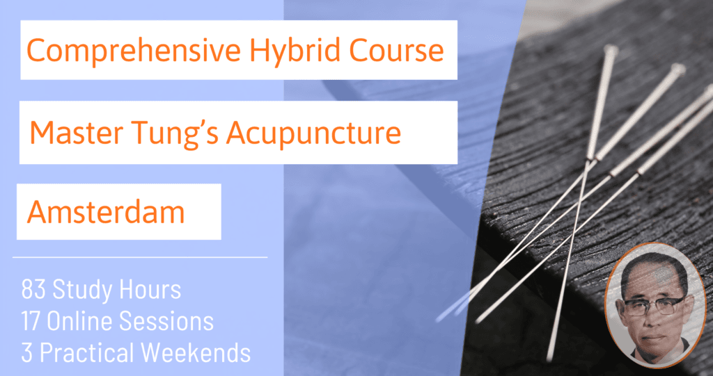 Master Tung Acupuncture Course Amsterdam
