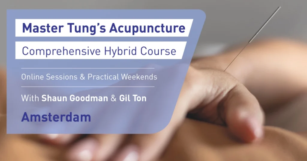 Master Tung Acupuncture Course Amsterdam