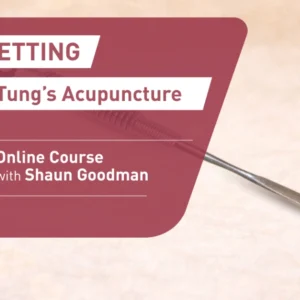 Bloodletting Master Tungs Acupuncture