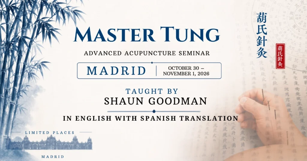 Master Tung acupuncture seminar Madrid