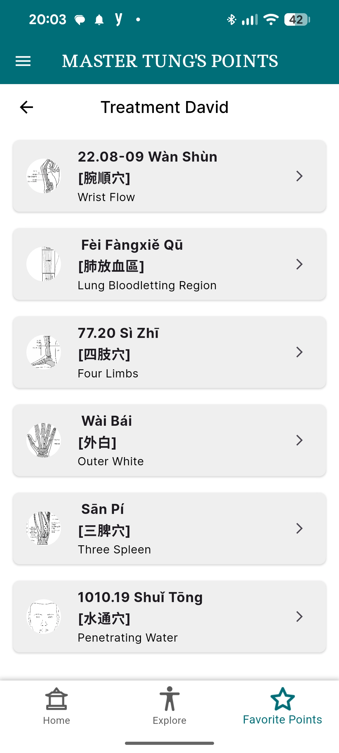 A saved treatment list in the Master Tung's Points app containing six bookmarked points, from Wàn Shùn to Shuí Tông